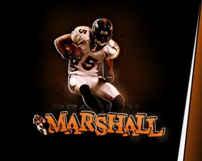 Brandon Marshall Prints and Posters